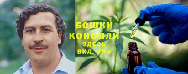экстази Арсеньев