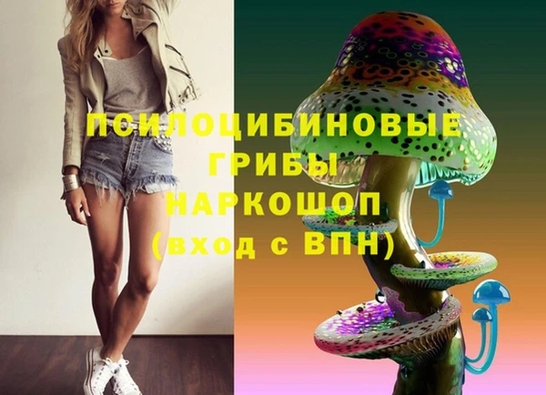 ECSTASY Алексин