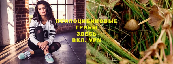 твердый Алексеевка
