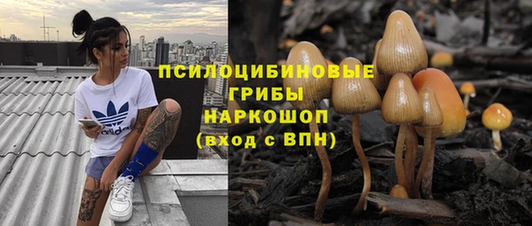 твердый Алексеевка