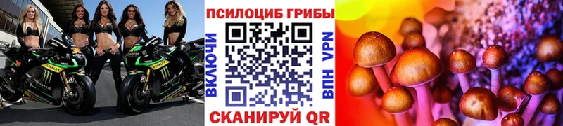 shop формула  Калининск  Галлюциногенные грибы MAGIC MUSHROOMS  сколько стоит 